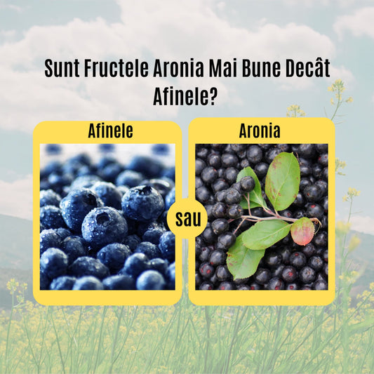 Aronia sau Afine? Sunt fructele aronia mai bune decât afinele? Află aici!